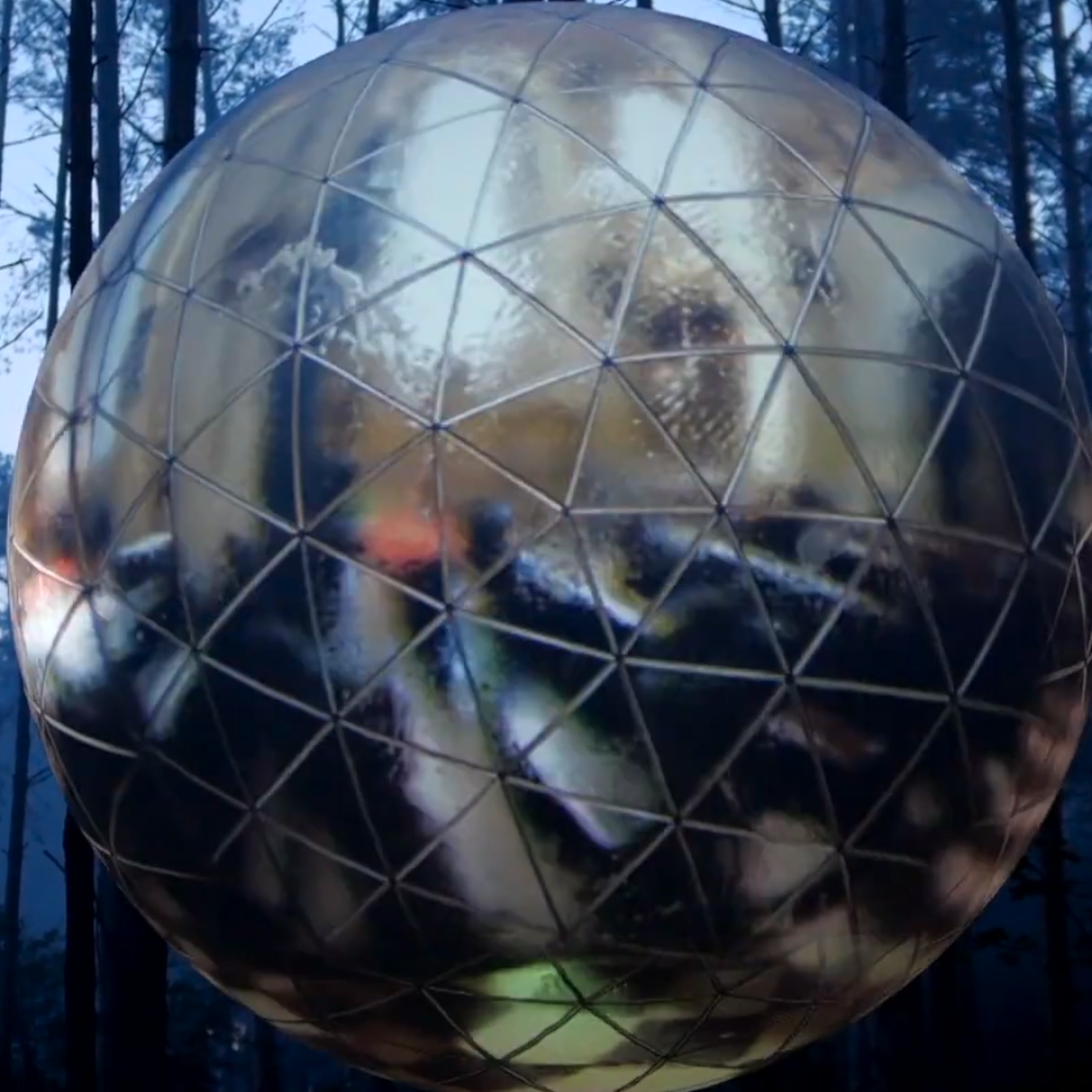 The Omnisphere, a projection-mapped sphere in the forest of Garbicz Festival